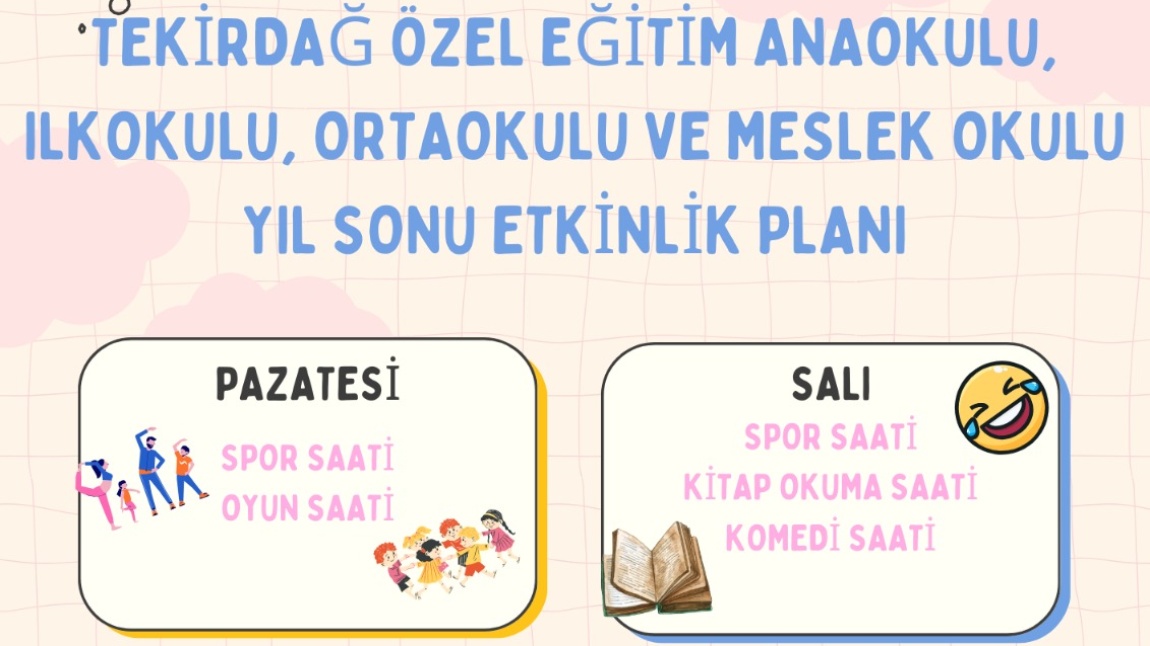 DÖNEM SONU SOSYAL ETKİNLİK FAALİYET PLANI